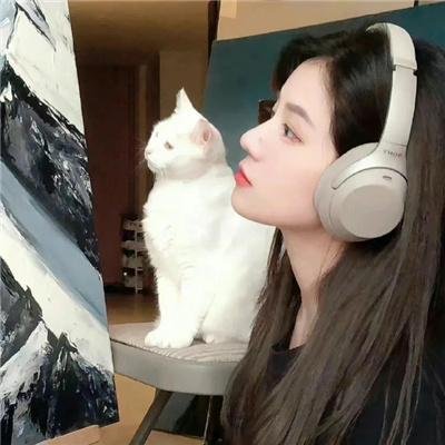 小菊的春天